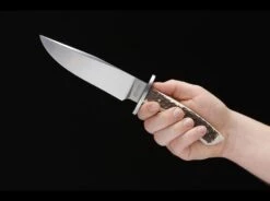 Böker Arbolito 02BA593H Esculta Griff Aus Hirschhorn -Knife Stock das Geschäft af4721f8d53c886558185d0aeaa85852